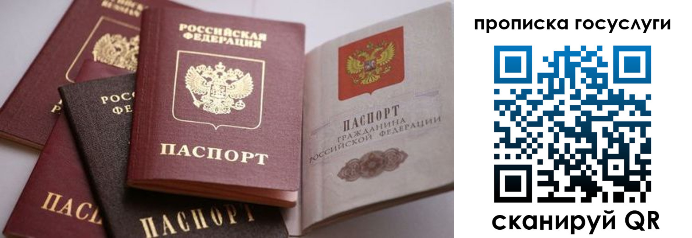 прописка иностранных граждан в Котово