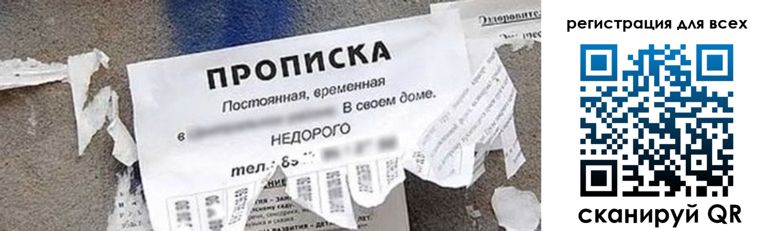 прописка поиск в Котово